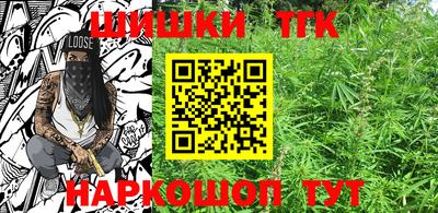 прущие грибы Будённовск