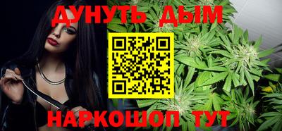 прущие грибы Будённовск