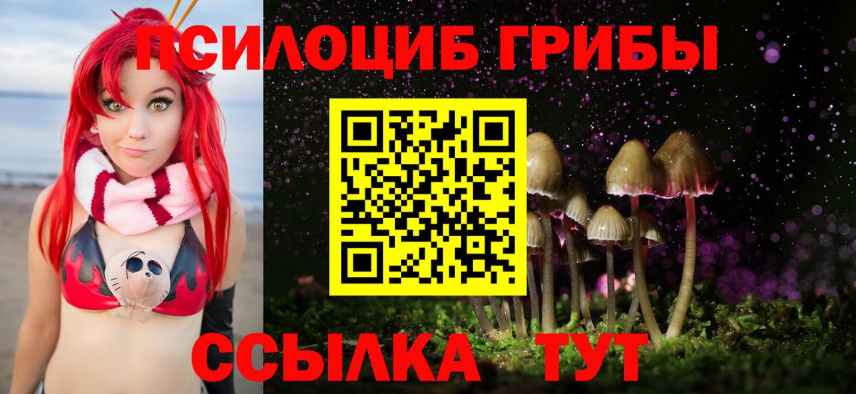 Барабинск  Галлюциногенные грибы Psilocybe  Вход с VPN 